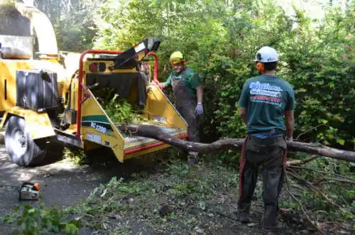 tree services Sugarmill Woods